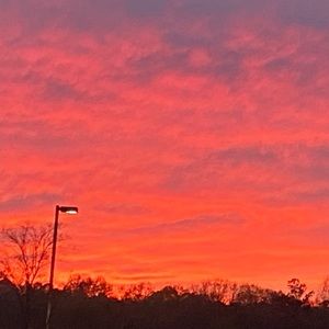 Meet your Posher, Inbal